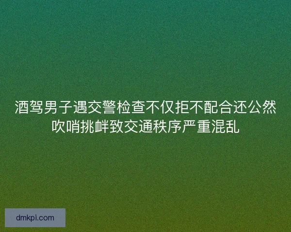 酒驾男子遇交警检查不仅拒不配合还公然吹哨挑衅致交通秩序严重混乱