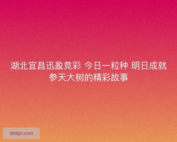 湖北宜昌迅盈竞彩 今日一粒种 明日成就参天大树的精彩故事